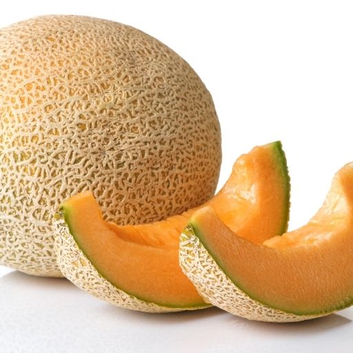Cantaloupe