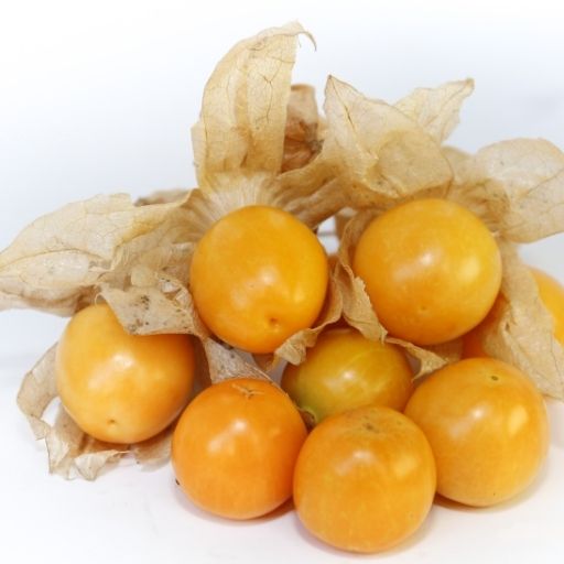 Cape Gooseberry