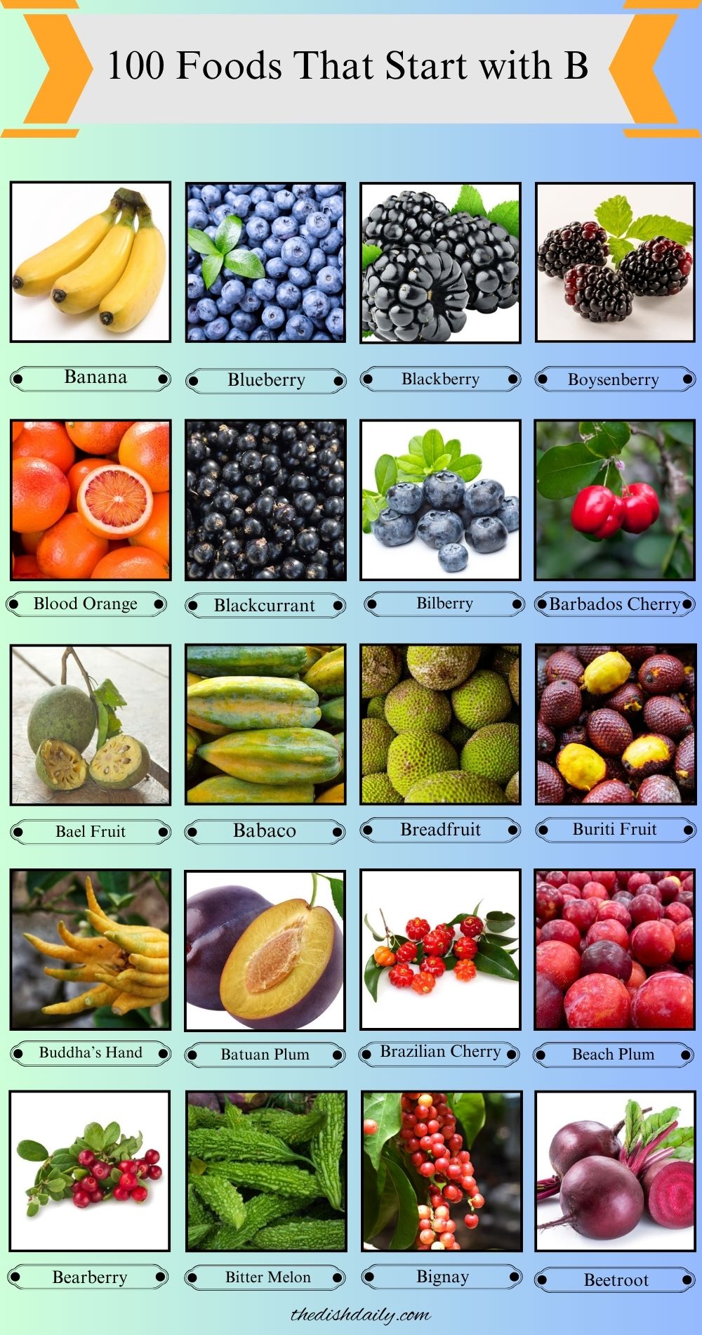 100 Foods That Start With B