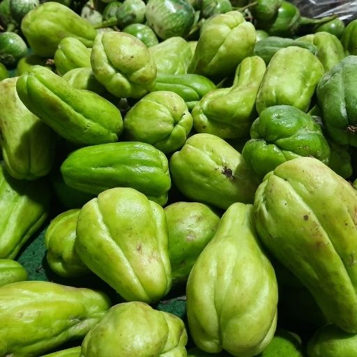 Chayote Fruit
