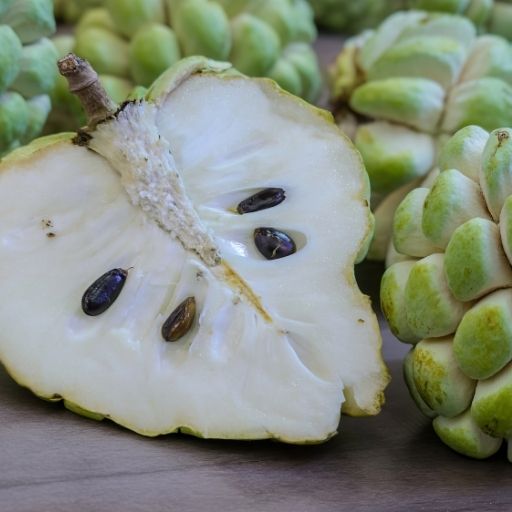 Cherimoya