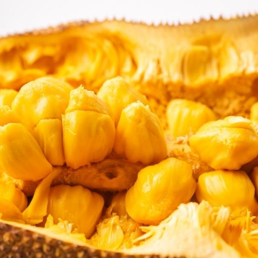 Cempedak