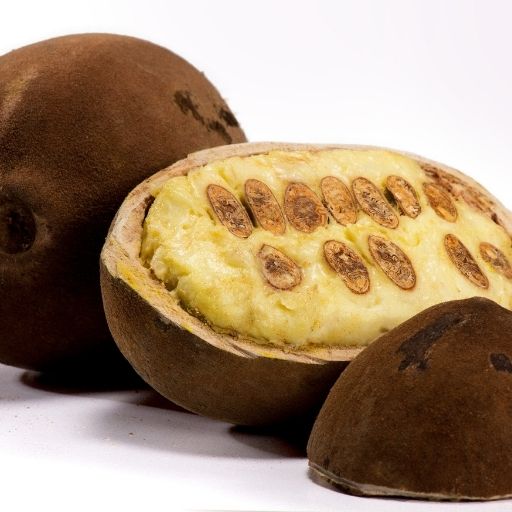 Cupuacu