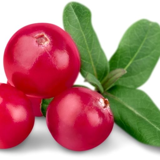 Cranberry
