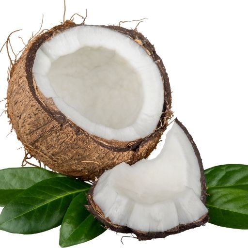 Coconut