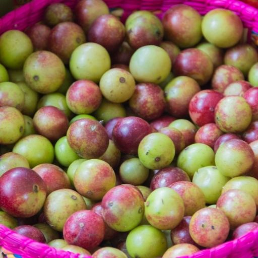 Camu Camu