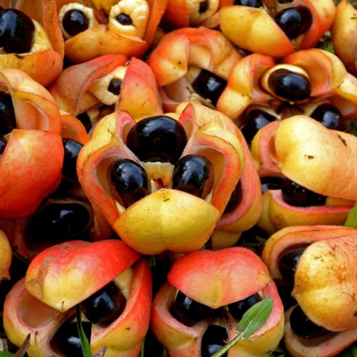 Ackee