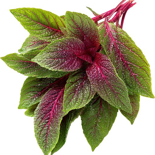 Amaranth Leaves