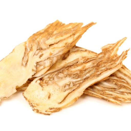 Angelica Root