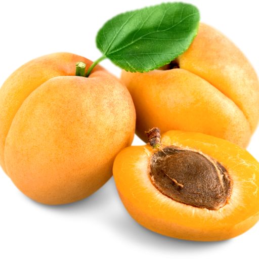 Apricot