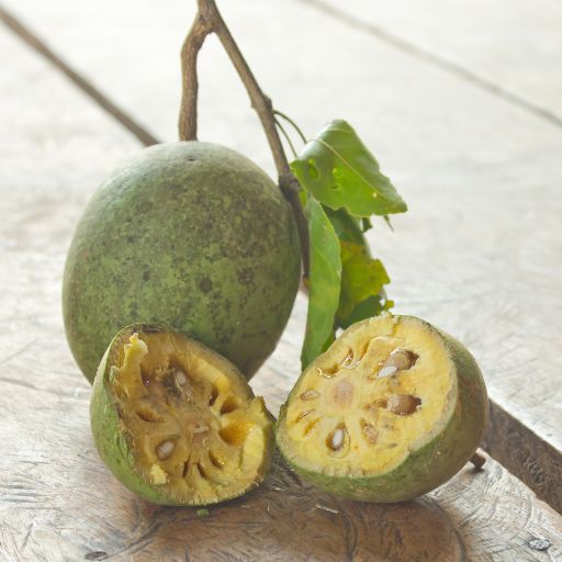 Bael Fruit