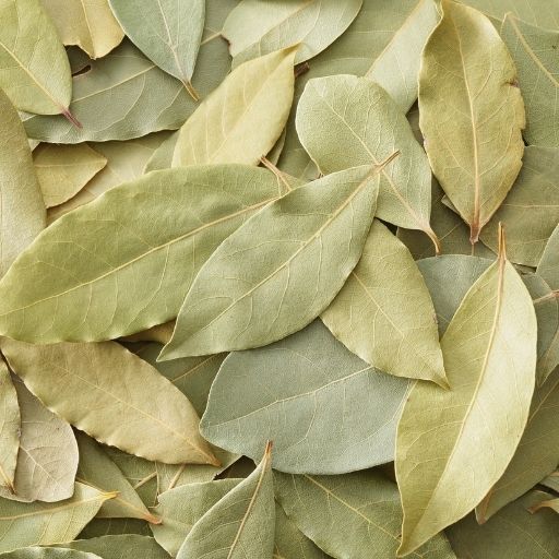 Bay Leaf