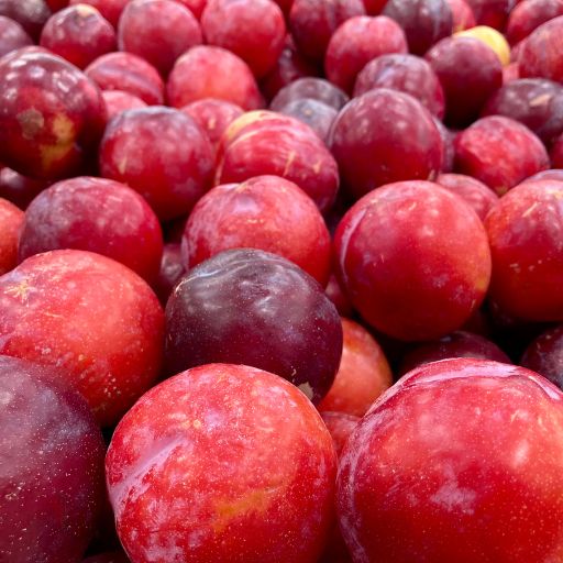 Beach Plum