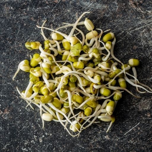 Bean Sprouts