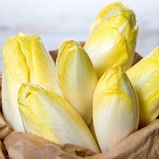 Belgian Endive