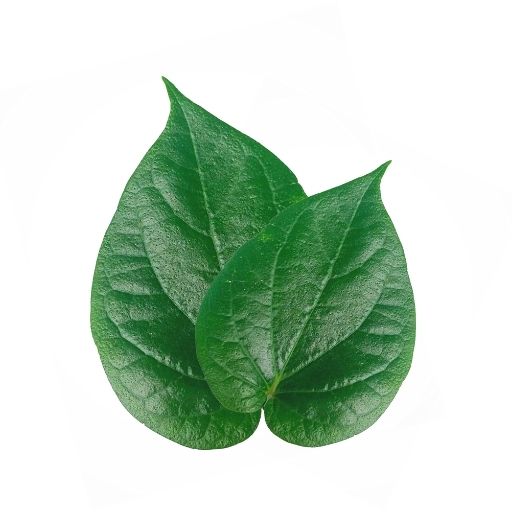 Betel Leaf