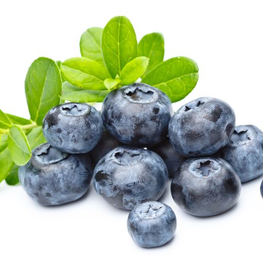 Bilberry