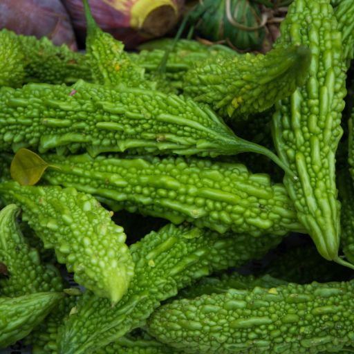 Bitter Melon (Fruit)