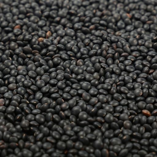 Black Lentils