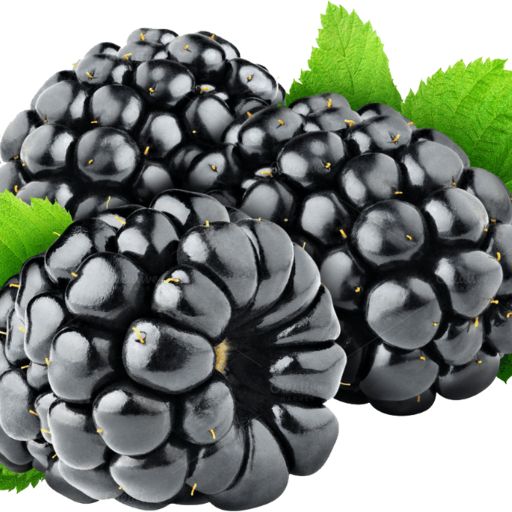 Blackberry