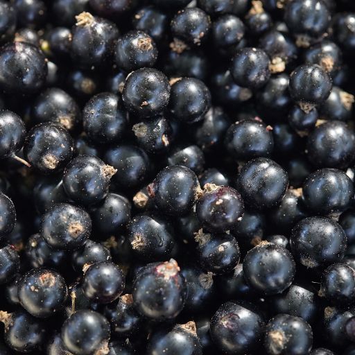 Blackcurrant