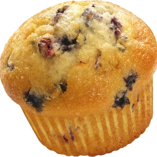 Blueberry Muffin