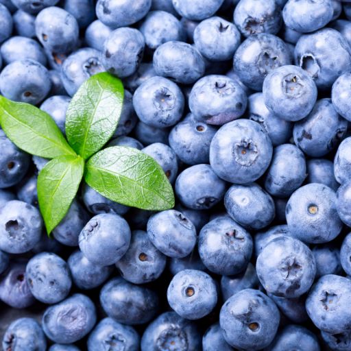 Blueberry