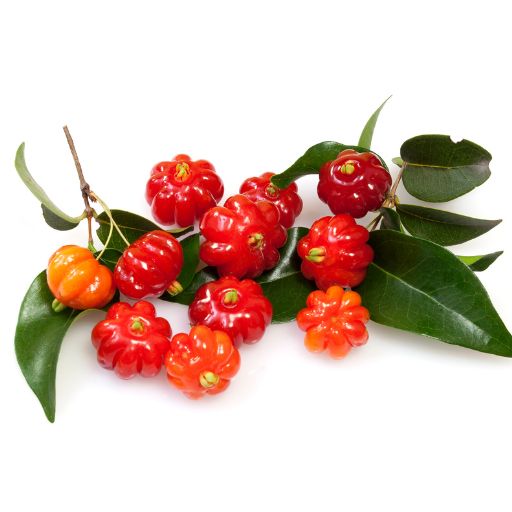 Brazilian Cherry