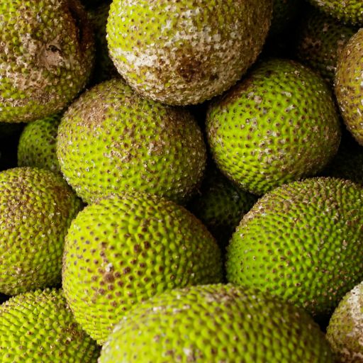Breadfruit