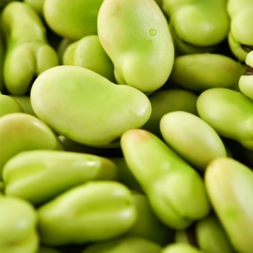 Broad Beans