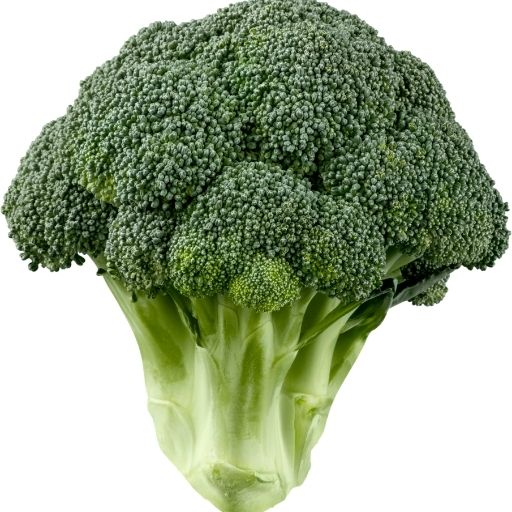Broccoli