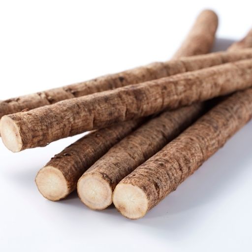 Burdock Root