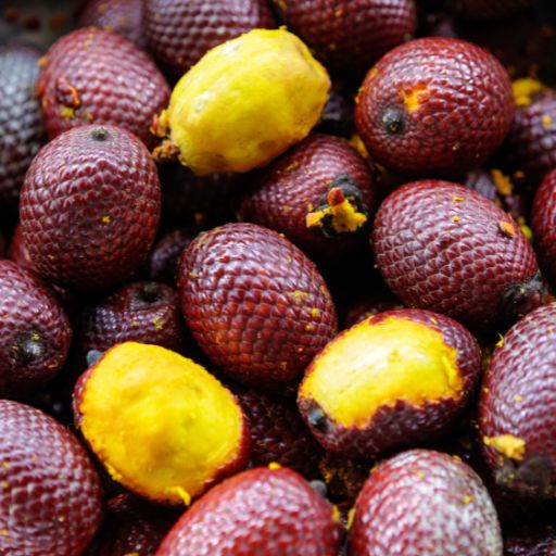 Buriti Fruit
