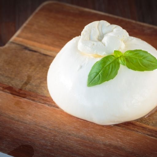 Burrata