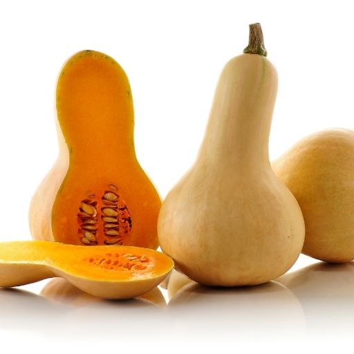 Butternut Squash
