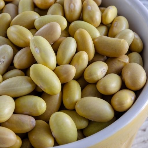 Canary Beans