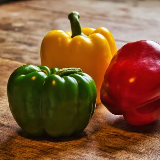 Capsicum (Bell Pepper)