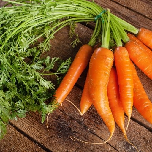 Carrot