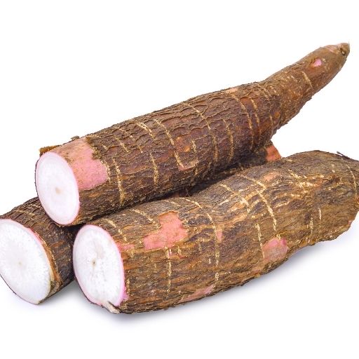 Cassava