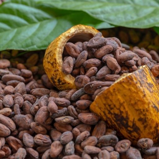 Cocoa Beans