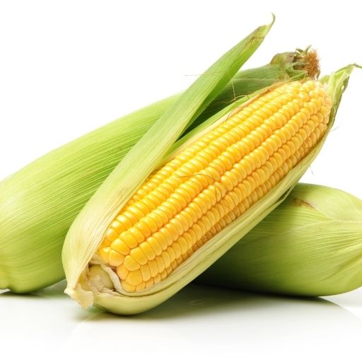 Corn